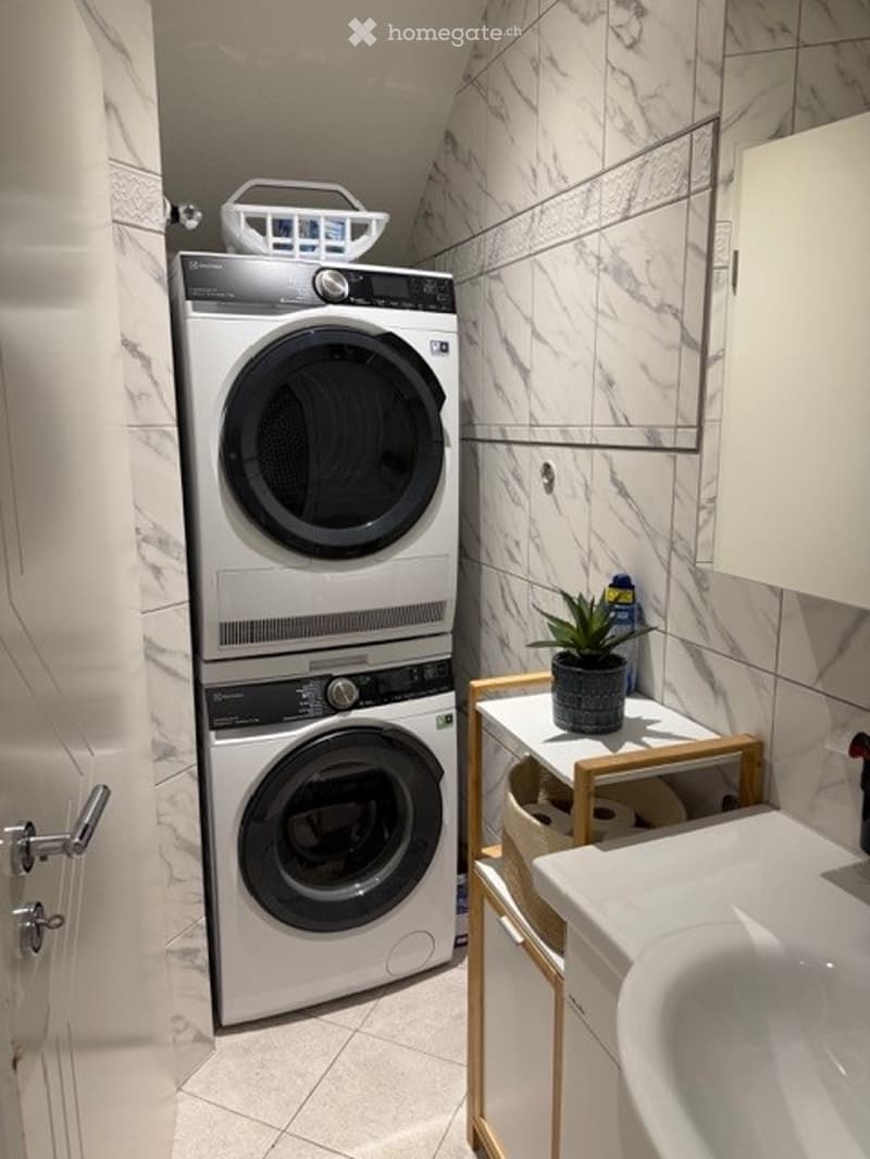 Modern bathroom with white marble tiles, a stacked washer and dryer unit, a small sink, a wooden shelf with a plant, and a cabinet above the sink.