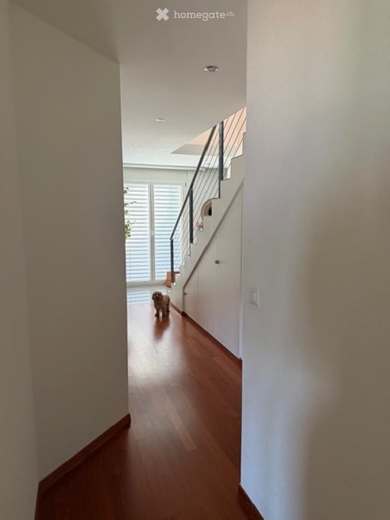 A narrow hallway with wooden flooring, white walls, and a staircase leading upwards. A small dog is visible at the end of the hallway.