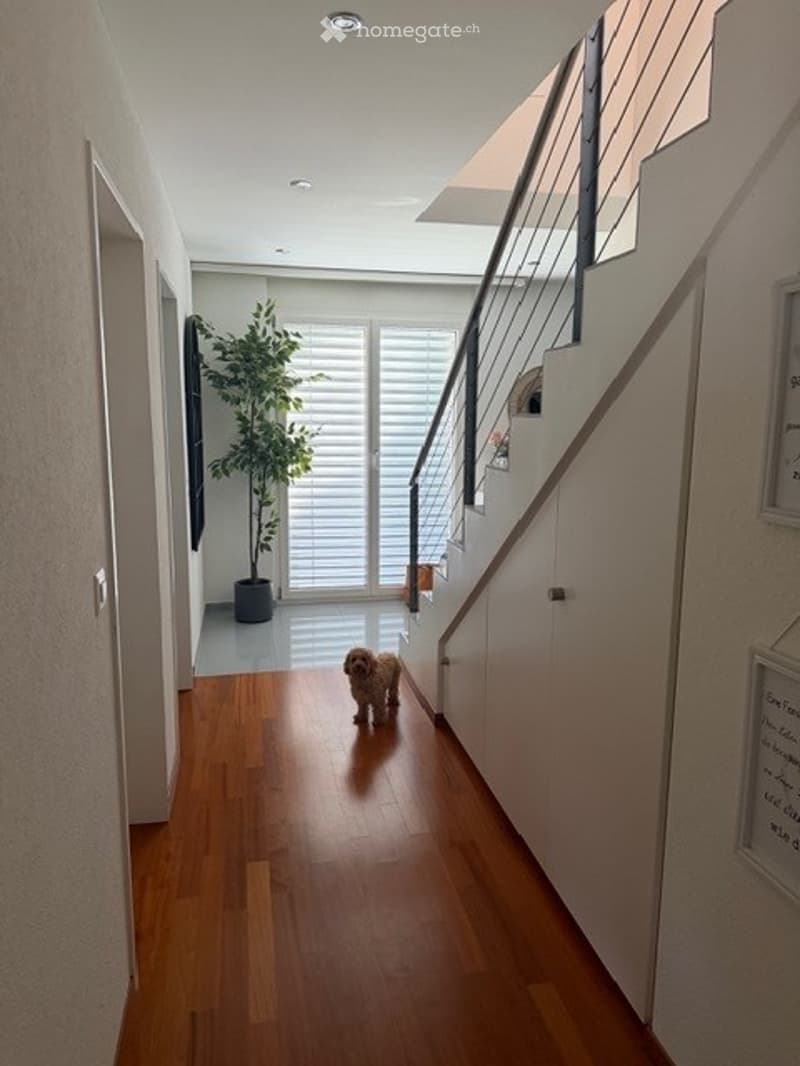 Spacious hallway with wooden flooring, modern staircase with metal railing, large potted plant, and natural light from the window at the end.