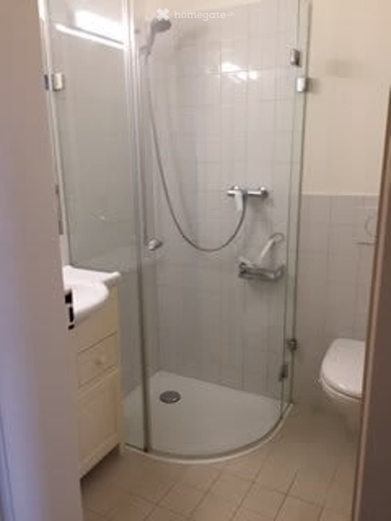 Modern bathroom with a glass-enclosed shower stall, toilet, and sink with a faucet.