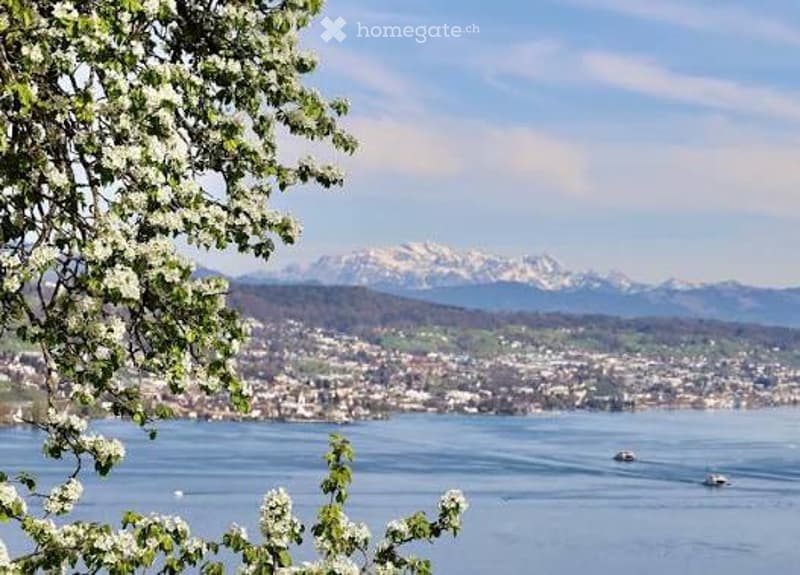 Scenic outdoor view overlooking a lake and distant snow-capped mountains, with blooming trees in the foreground.