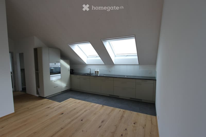 Modern kitchen with light grey cabinets, wooden flooring, and two skylight windows above the sink area.