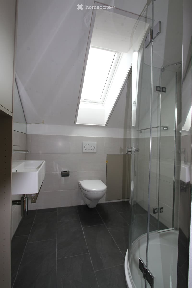 Modern bathroom with a white sink, toilet, and glass-enclosed shower. Features dark tiled flooring and a skylight window.