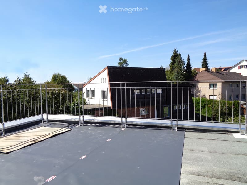 Flat roof terrace with metal safety railing, surrounded by neighboring houses and trees under a clear blue sky.