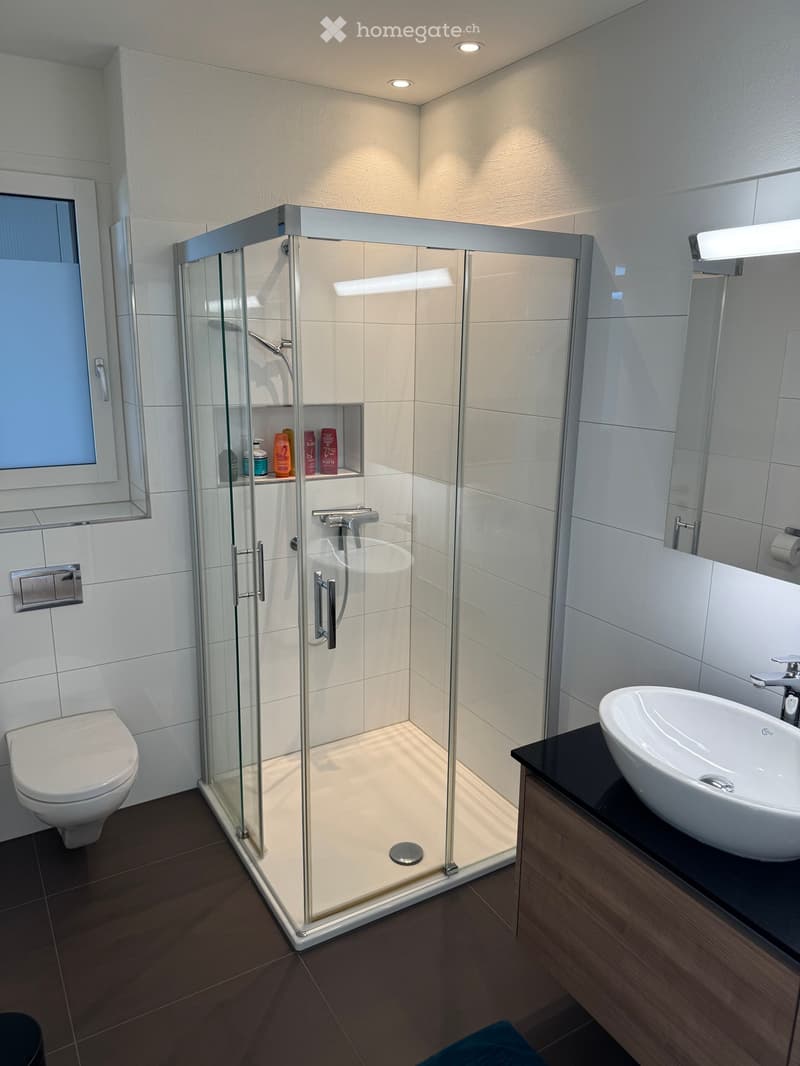 Modern bathroom with a glass-enclosed shower, toilet, sink, and mirror. The shower has a built-in shelf for toiletries.