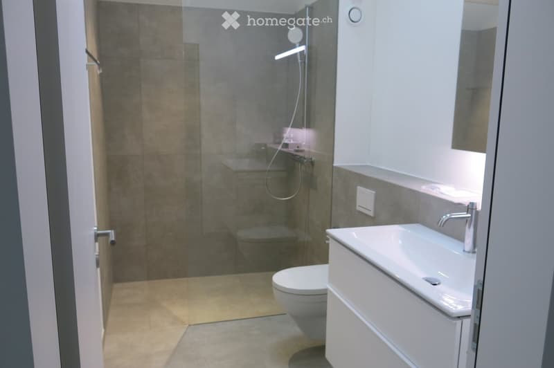 Bathroom. Modern bathroom with a white sink, chrome faucet, toilet, and glass-enclosed shower area.