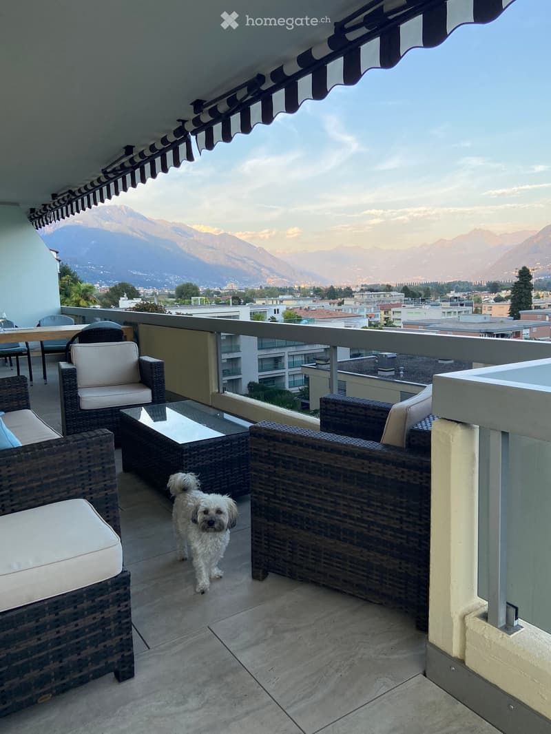 Balcony with wicker furniture, a small table, and a dog standing in the center, overlooking a cityscape with mountains in the background.