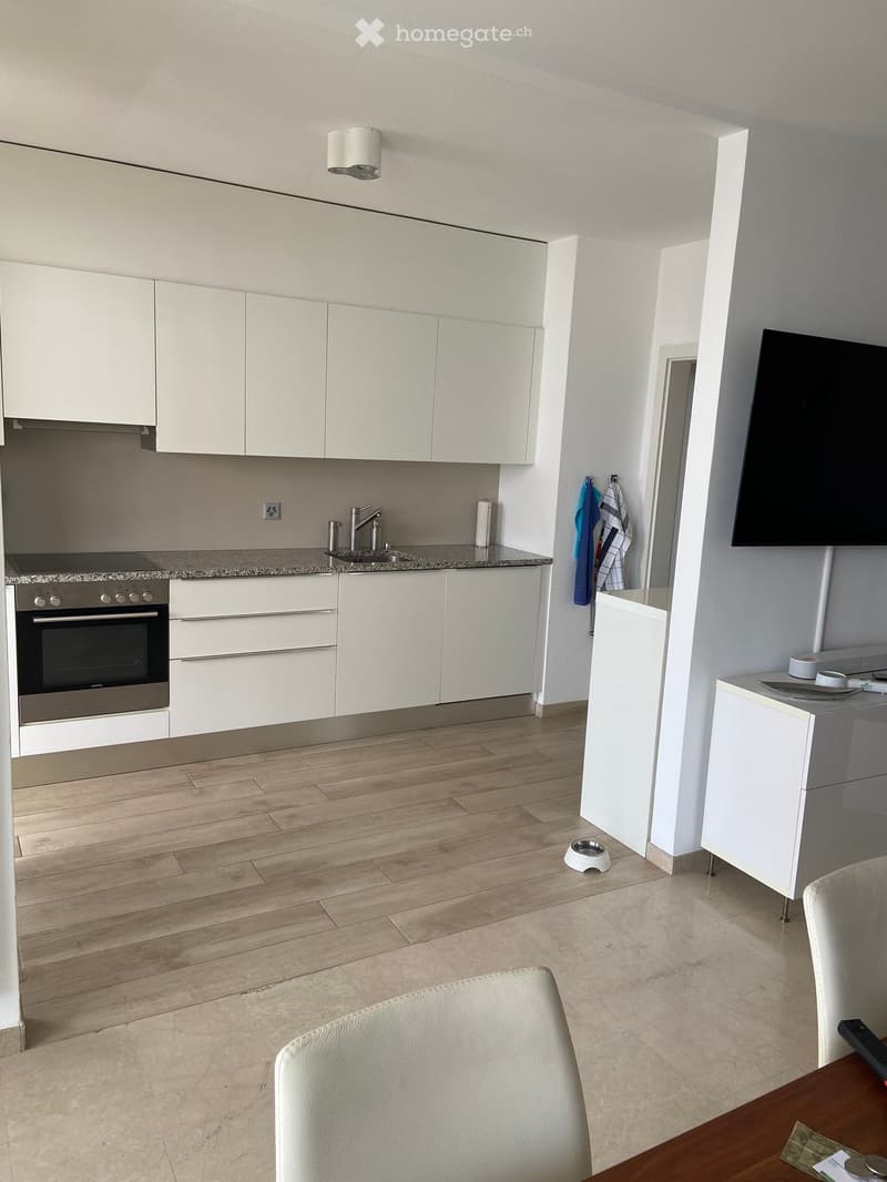 Modern kitchen with white cabinets, granite countertop, stainless steel oven, sink, and faucet. Includes a dining area with a chair and table, a television, and a dog bowl on the floor.