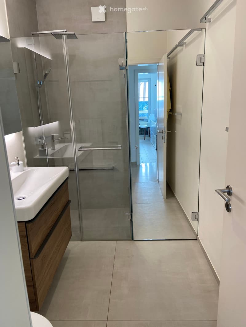 Modern hallway leading to a bathroom with a glass shower enclosure, wooden vanity, and white sink.