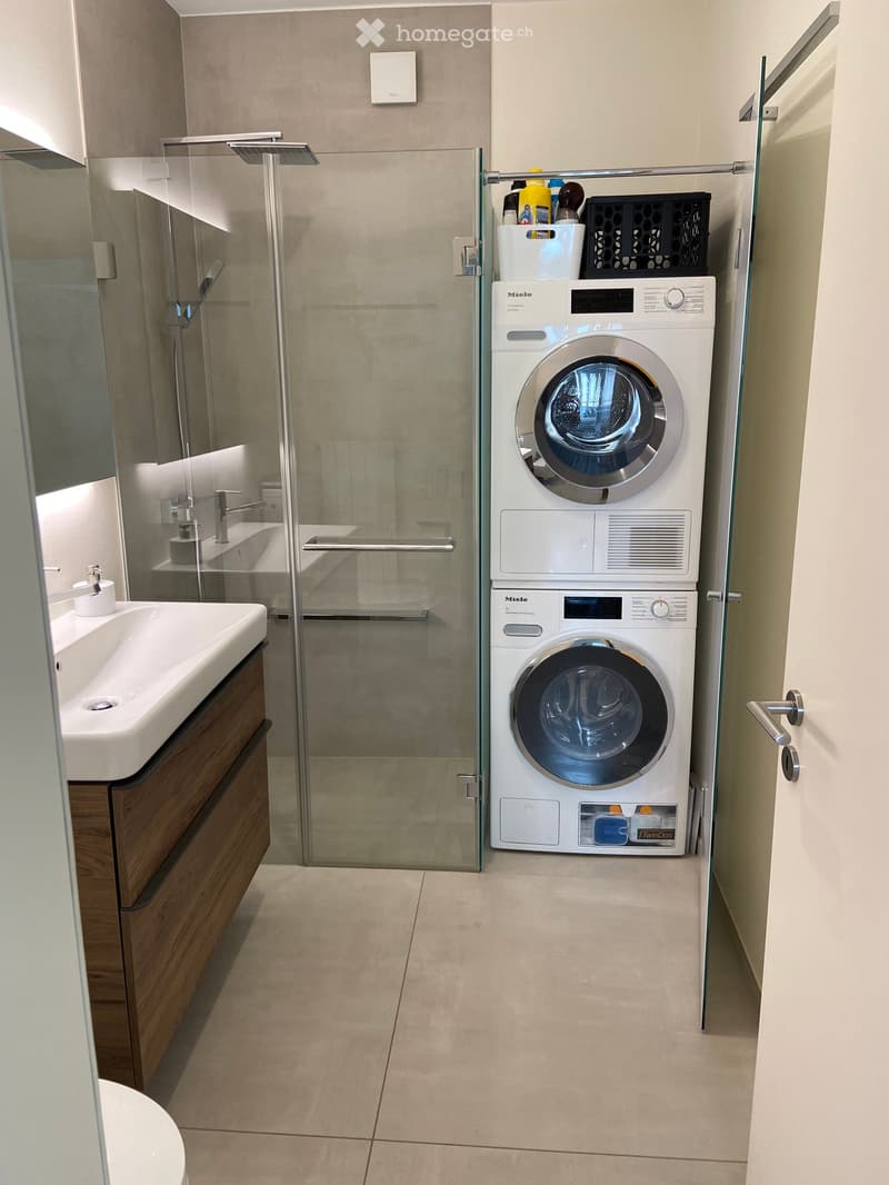 Modern bathroom with a glass-enclosed shower, a white sink with a wooden cabinet, and a stacked washing machine and dryer unit.