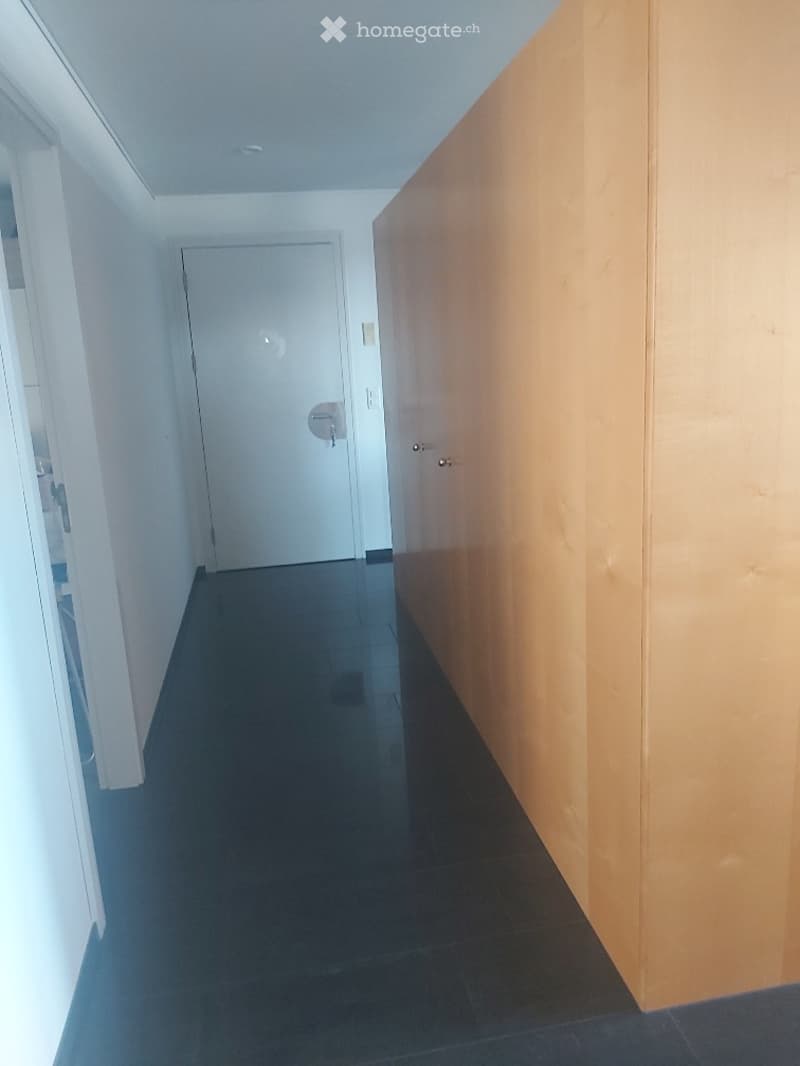 A clean, modern hallway with dark tiled flooring, white walls, and a closed white door at the end. The hallway features a wooden panel on one side and a sleek, contemporary design.