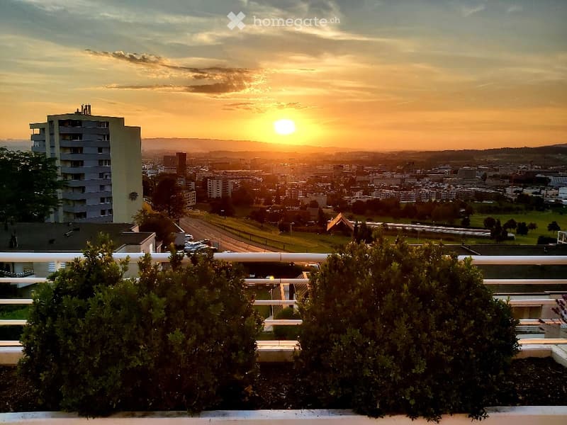 Balcony with a panoramic city view at sunset, featuring trimmed shrubs and a white railing.