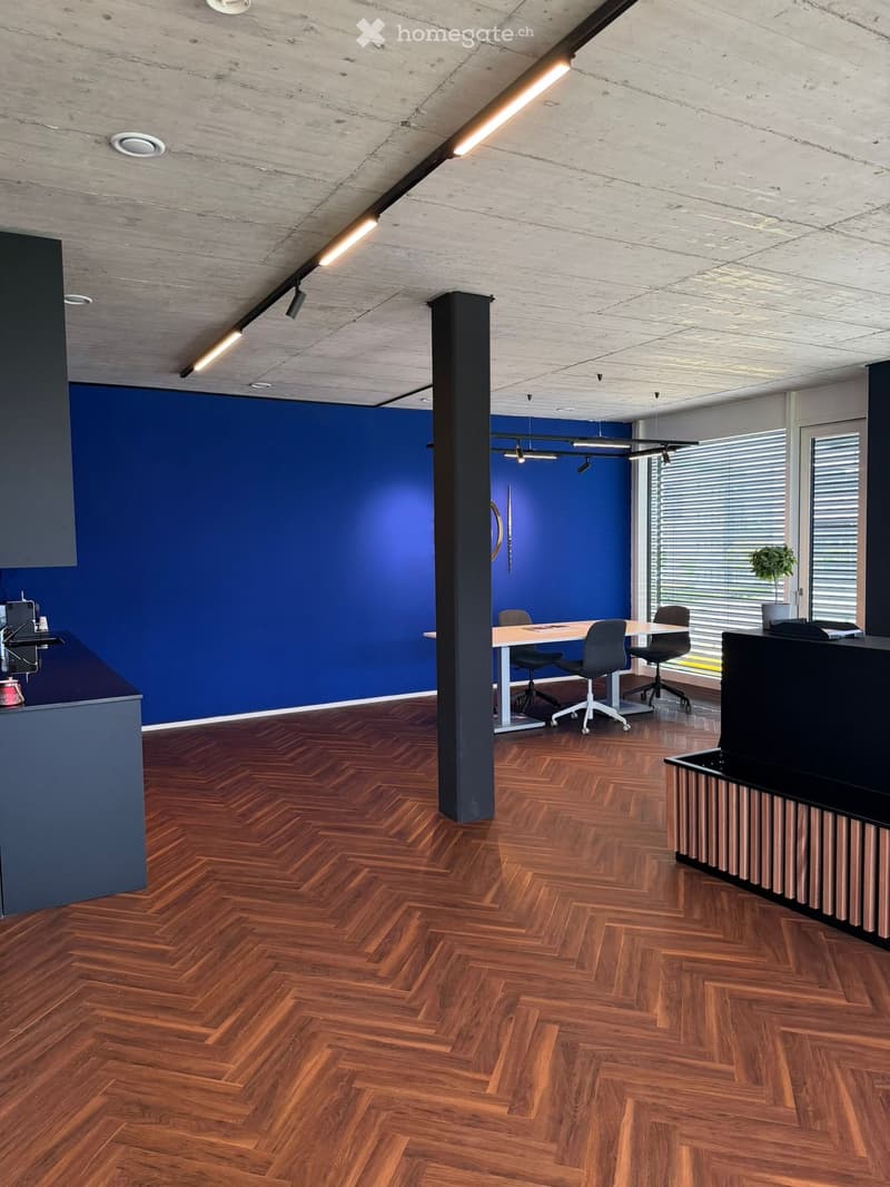 Moderne Büroräume im Neubau an der Landstrasse 140 (3)