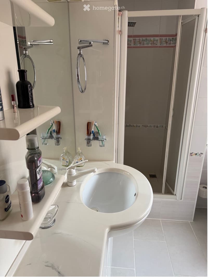 Modern bathroom with a white sink, faucet, toothbrush holders, toothpaste, shampoo, and a shower area with a glass door.