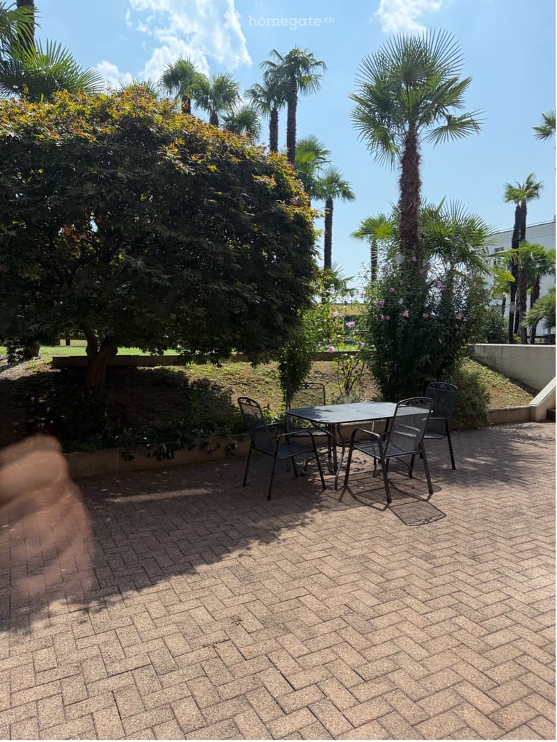 Brick-paved outdoor area with a small table and four chairs surrounded by lush greenery and palm trees.
