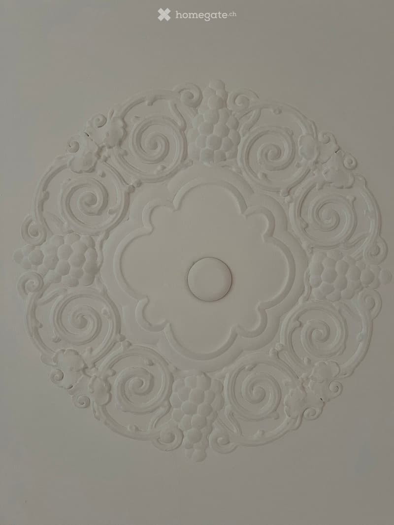 An unfurnished room with a decorative plaster ceiling medallion featuring intricate scrollwork and floral designs.