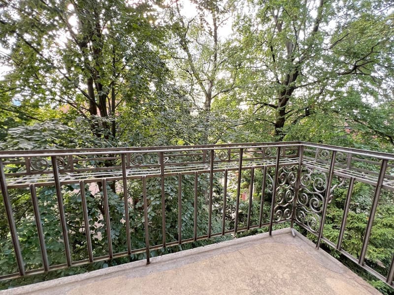 Balcony with metal railing and lush green trees in the background.