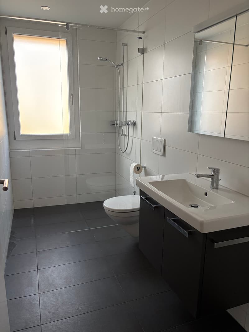 Modern bathroom with dark tiled floor, white sink, mirror, toilet, and glass-enclosed shower area with a window.