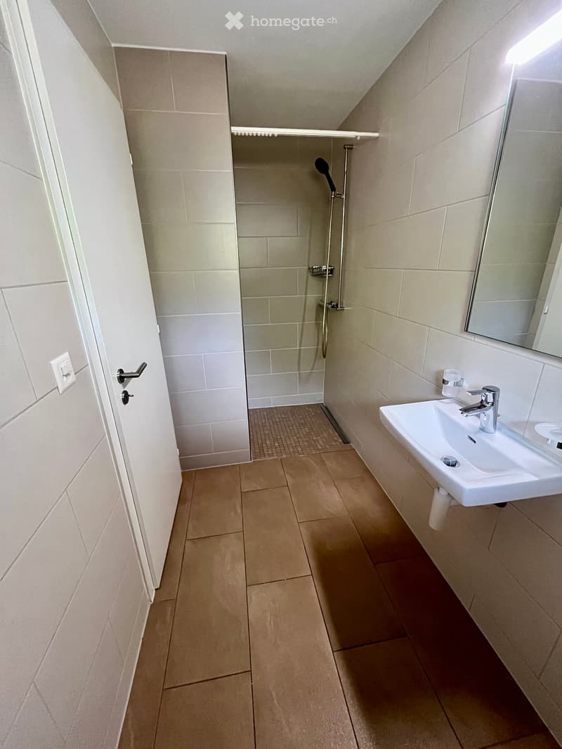 Modern bathroom with beige tiles, a white sink with a chrome faucet, a mirror, and a walk-in shower with a handheld showerhead.