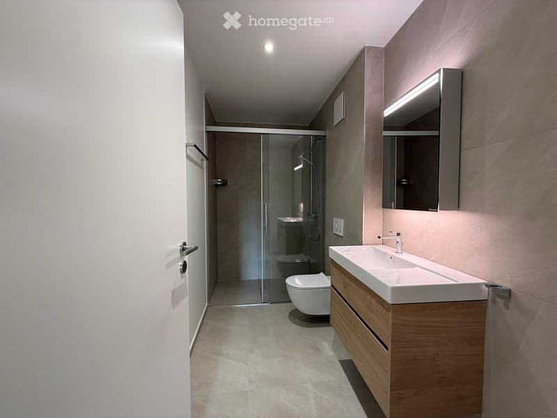 Modern bathroom with a white sink, wooden cabinet, large mirror, and a glass-enclosed shower area with a toilet inside.