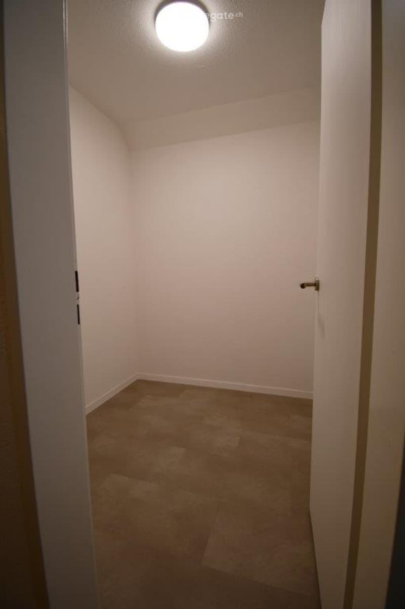 Empty room with beige carpet and white walls, featuring a single ceiling light fixture and a closed door.