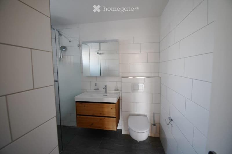 Modern bathroom with white tiles, a wooden sink cabinet, a mirror, a toilet, and a glass-enclosed shower area.