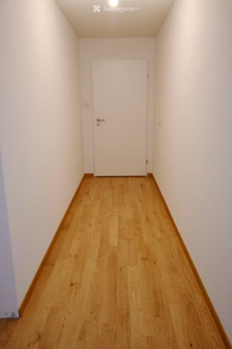 Empty hallway with light wooden flooring and white walls, featuring a single white door at the end.