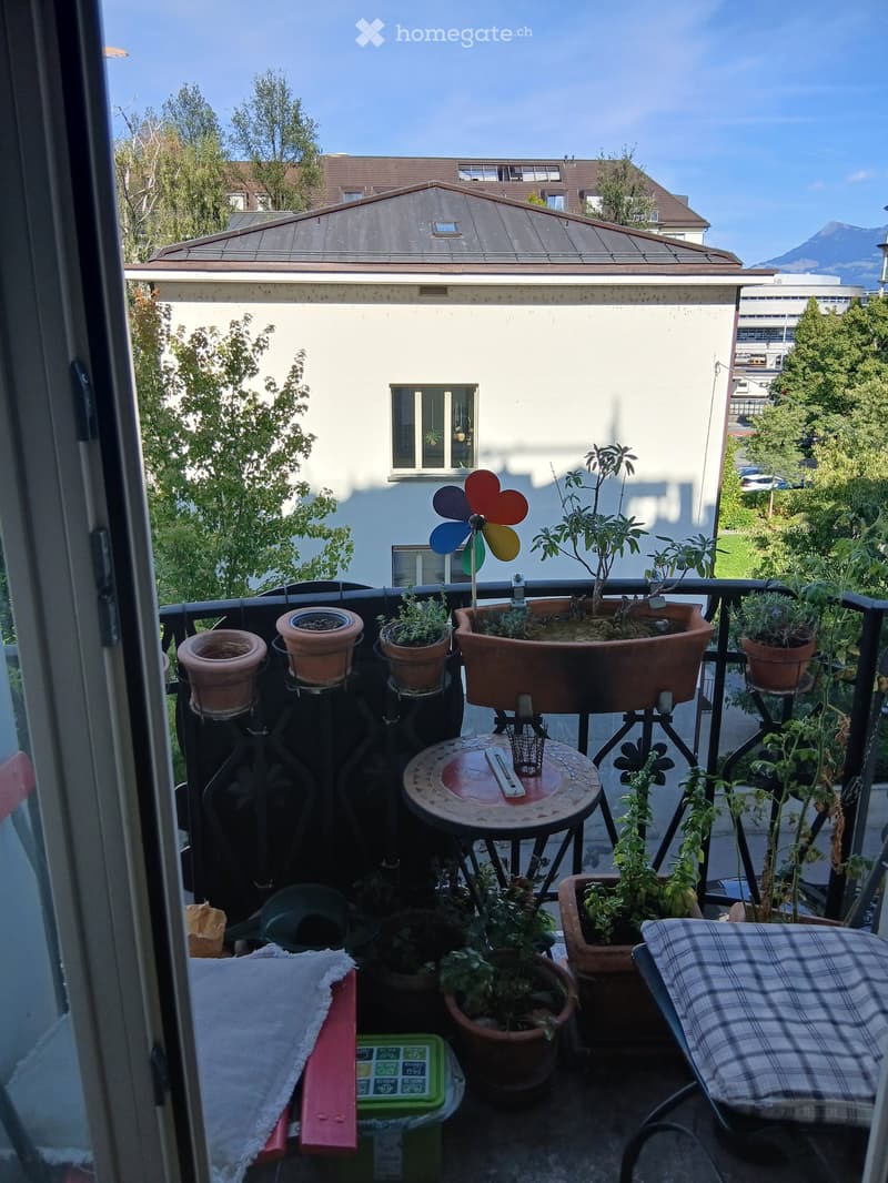 Balcony with multiple potted plants, a small table, a chair, a colorful windmill, and a garden hose.