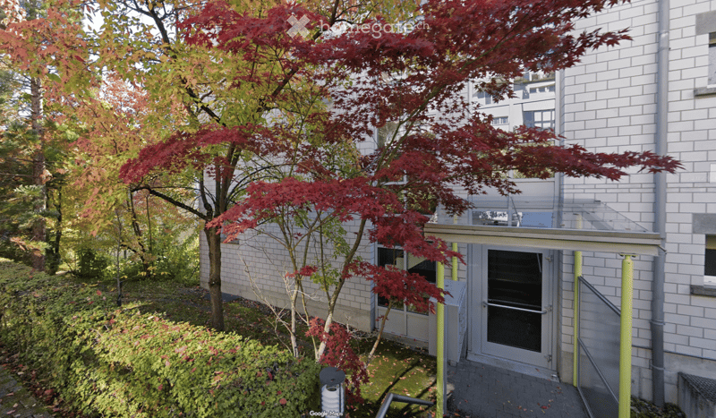 Garden area with a Japanese maple tree, shrubs, and a pathway leading to a building entrance.