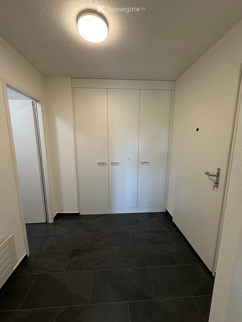 Clean, modern hallway with dark tiled flooring, white walls, built-in storage cabinets, and a round ceiling light.