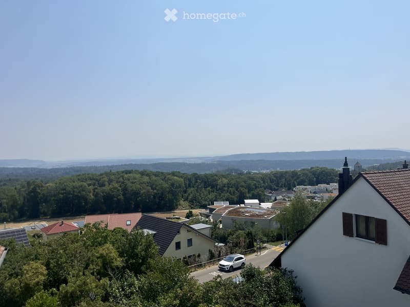 A panoramic view of a suburban neighborhood with houses, trees, and a distant landscape of hills and forests.