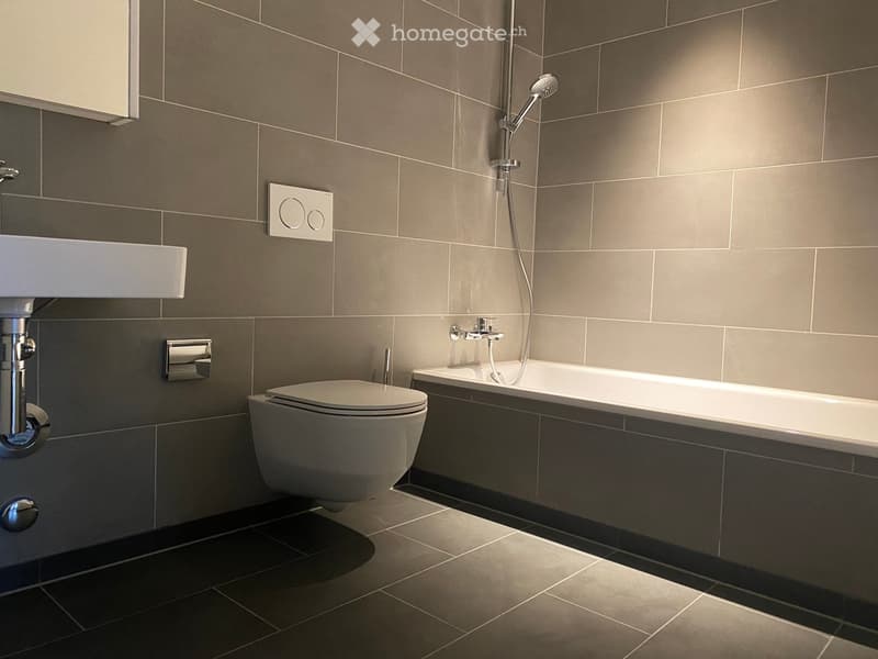 Modern bathroom with grey tiled walls, a bathtub with a handheld shower, a toilet, a sink, and a towel rack.