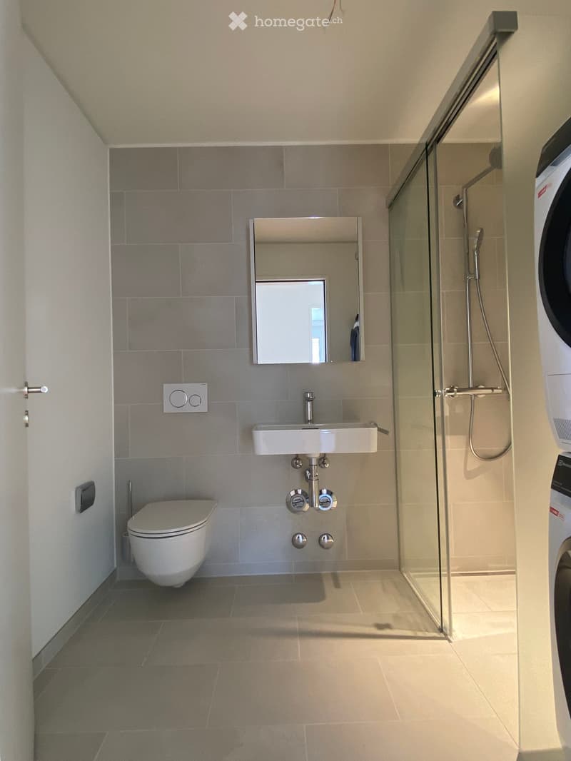 Modern bathroom with a toilet, sink, mirror, and glass-enclosed shower. Grey tiled walls and dark tiled floor.