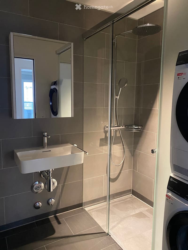 Modern bathroom with a white sink, chrome faucet, large mirror, glass-enclosed shower with a handheld showerhead, and a private washing machine.
