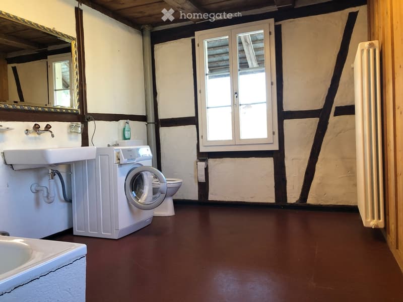 Bathroom with a sink, washing machine, toilet, radiator, and mirror. Exposed wooden beams and traditional plaster walls.