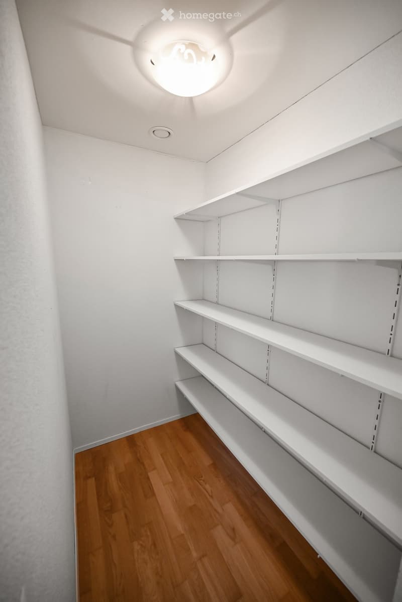 Empty closet with white shelves and wooden floor, featuring a modern ceiling light fixture.