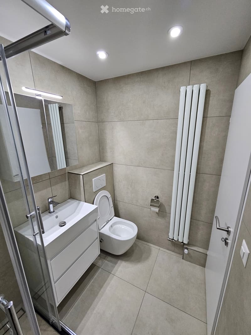 Modern bathroom with a white sink, toilet, mirror, and radiator. Features recessed lighting and a glass shower enclosure.