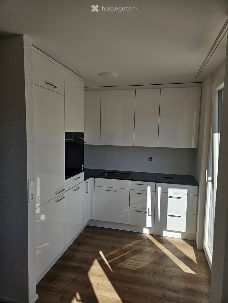 Modern kitchen with white cabinets, dark countertops, and wooden flooring. Features an oven and a sink.