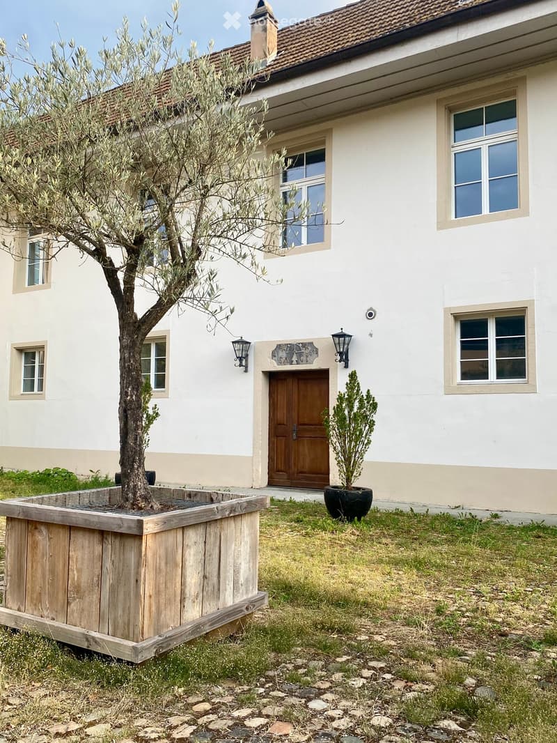Two-story house with white walls, multiple windows, and a wooden front door. An olive tree is planted in a wooden planter, and a small potted plant is near the entrance.