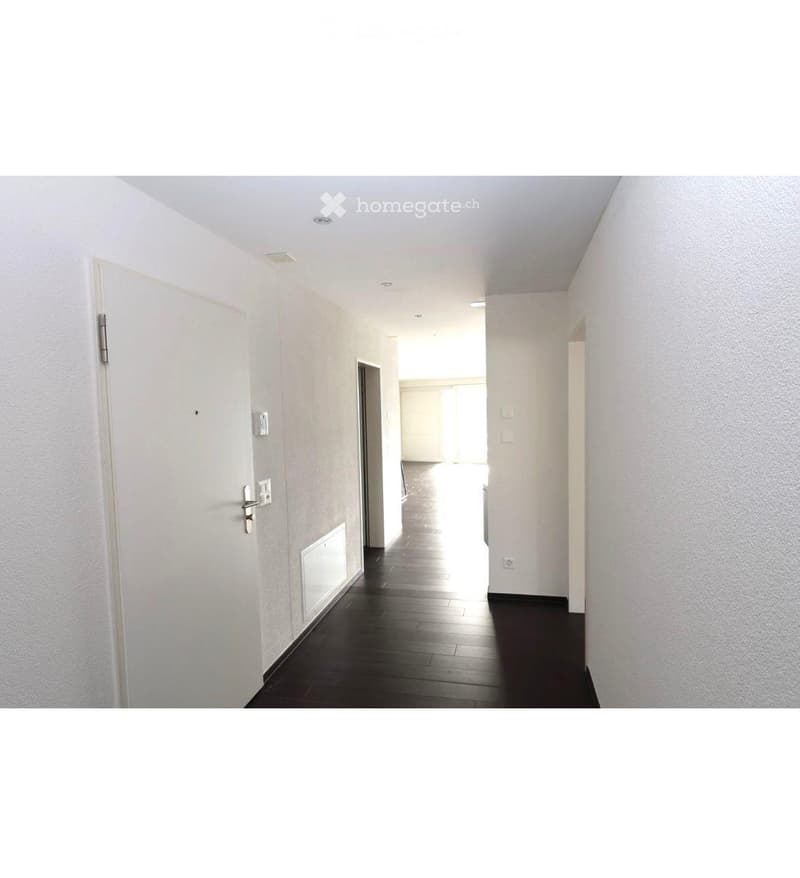 Empty hallway with white walls, dark wooden flooring, and several doors leading to other rooms.