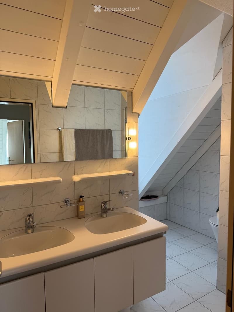Modern bathroom with marble tiles, double sink vanity, large mirror, and built-in shelving. Features a skylight window and sleek fixtures.