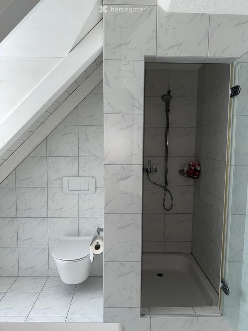 Modern bathroom with white marble tiles, a toilet, a glass-enclosed shower, and a small shelf for toiletries.