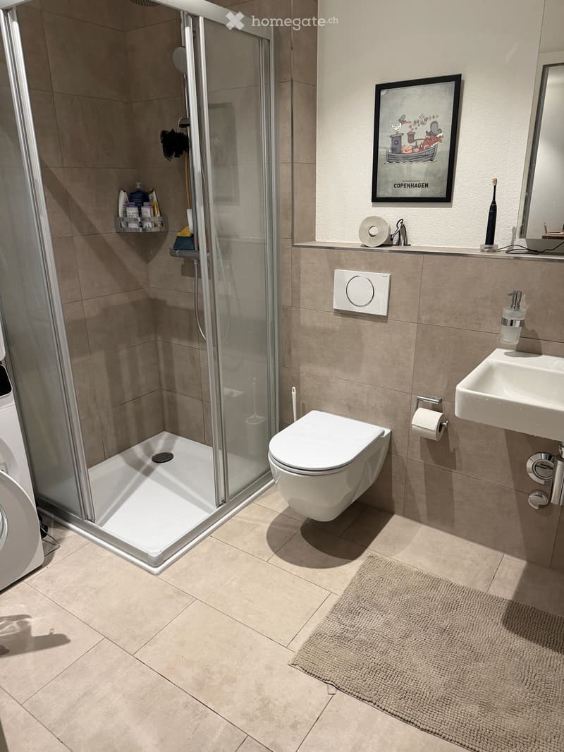 Modern bathroom with a white toilet, sink, and glass-enclosed shower. Includes a framed picture, toothbrush, toilet paper, and a small bathroom rug.