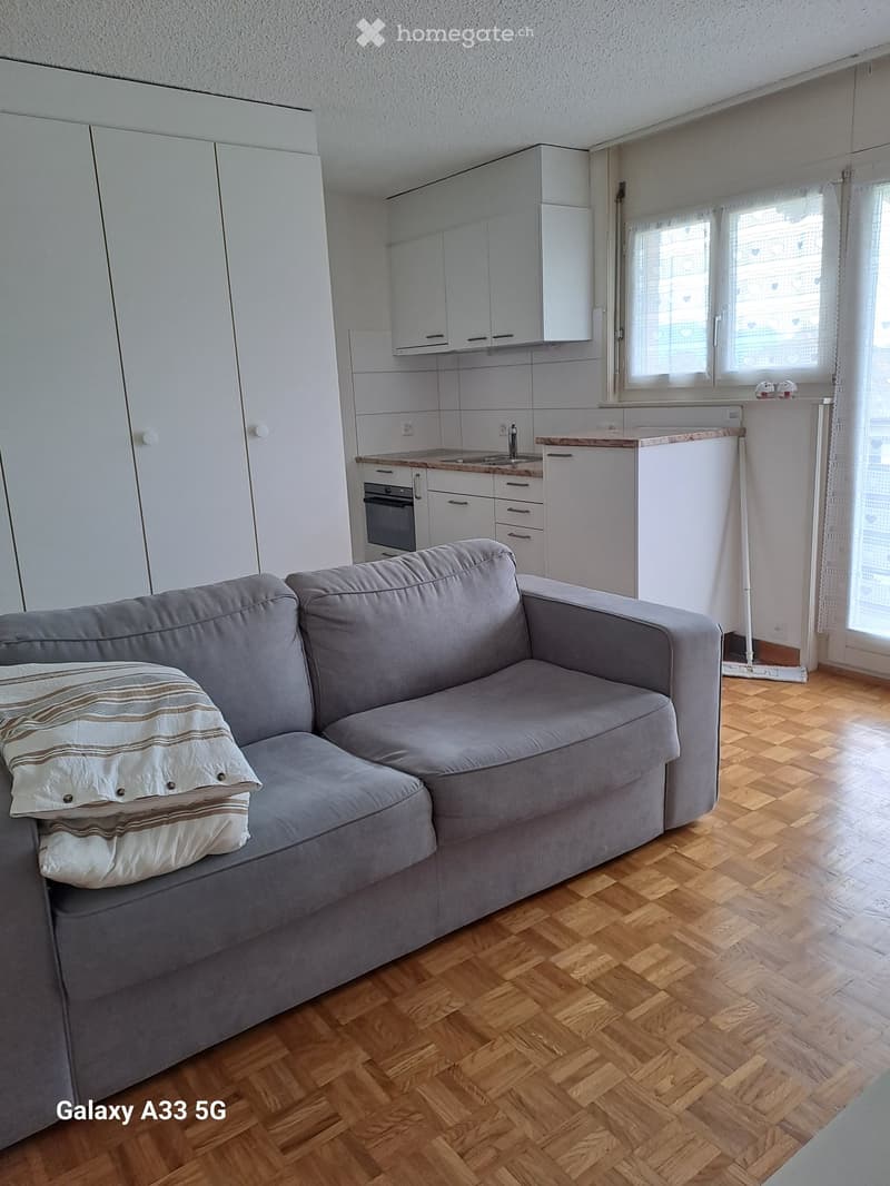 A modern living room with a grey sofa, wooden flooring, and an adjacent kitchen area with white cabinets, a sink, and an oven.
