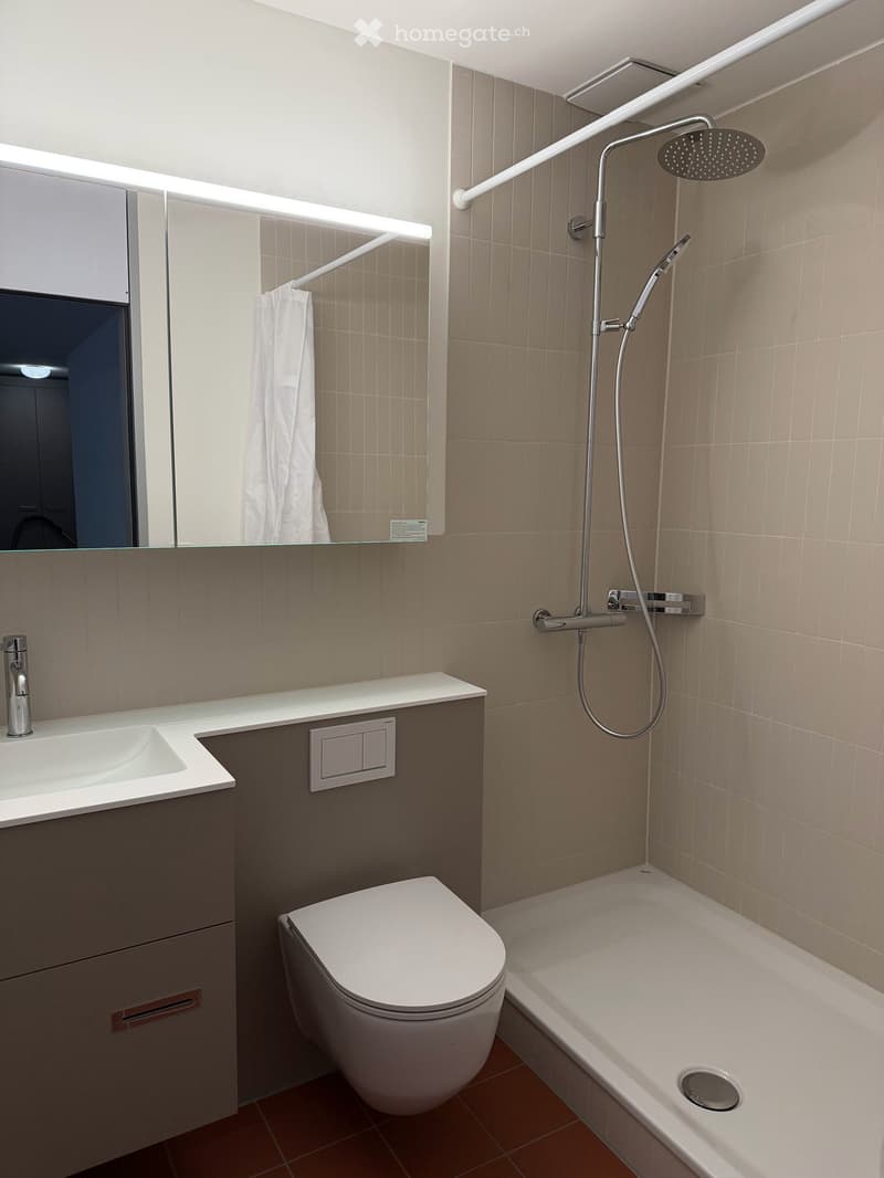 Furnished apartment - Sublease, take over of a lease in March (4)