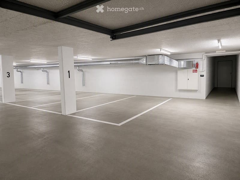 {"visible_features": ["Garage"], "type": "Garage", "objects": [], "description": "Underground parking garage with marked parking spaces, white pillars, and industrial lighting.", "localized_descriptions": {"EN": "Underground parking garage with marked par