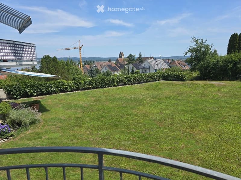 A well-maintained lawn with a metal railing in the foreground, surrounded by greenery and distant buildings.