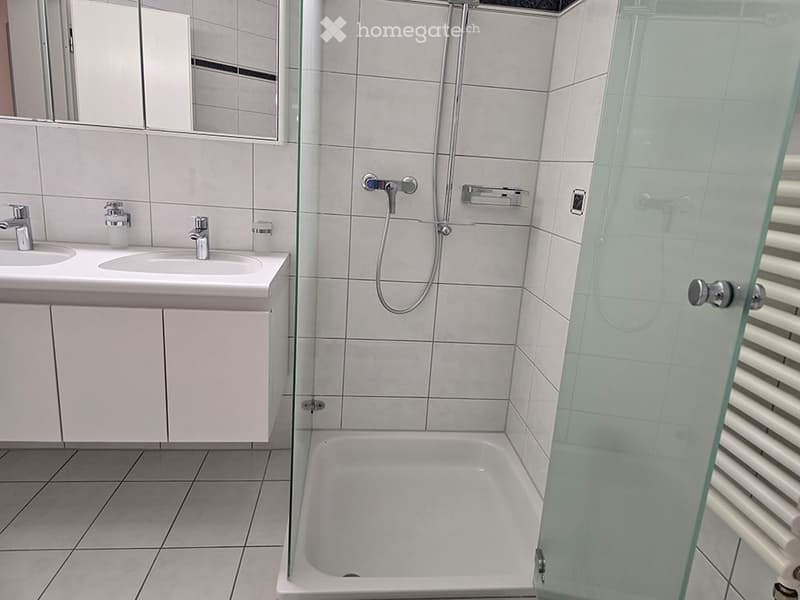Modern bathroom with two sinks, a shower, and a mirror. The shower has a glass enclosure, and the sink area features a cabinet below.