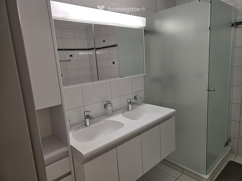 Modern bathroom with a double sink, mirrored cabinet, and glass shower enclosure.