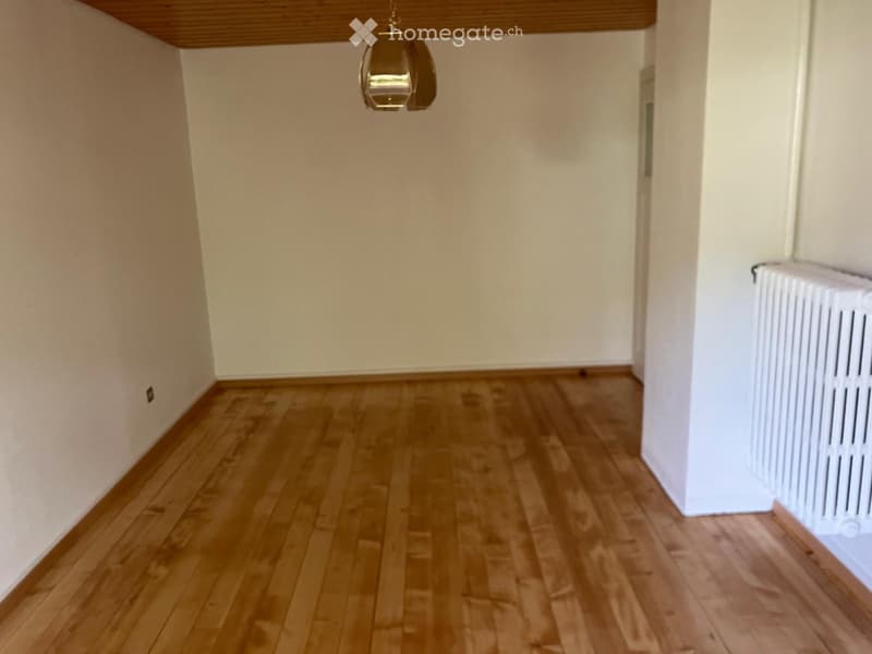 Empty room with light wooden flooring and white walls, featuring a radiator on one wall and a hanging light fixture.